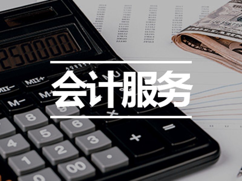 会计咨询市场洞察与未来发展动态
